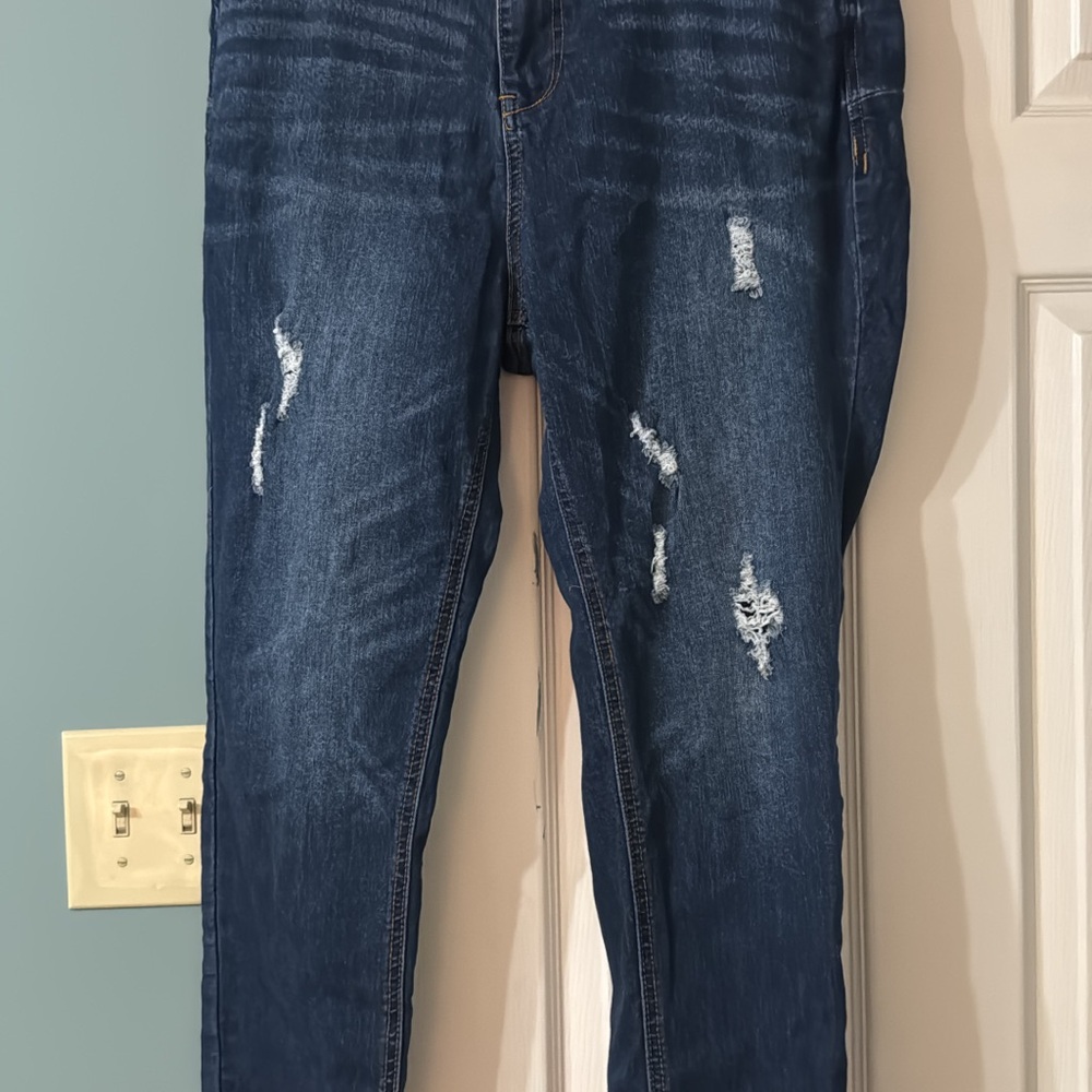Eloquii Classic Blue Denim